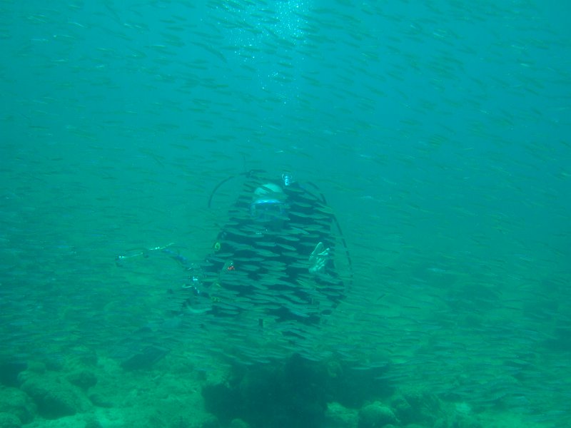 Curacao 04-12 073.JPG